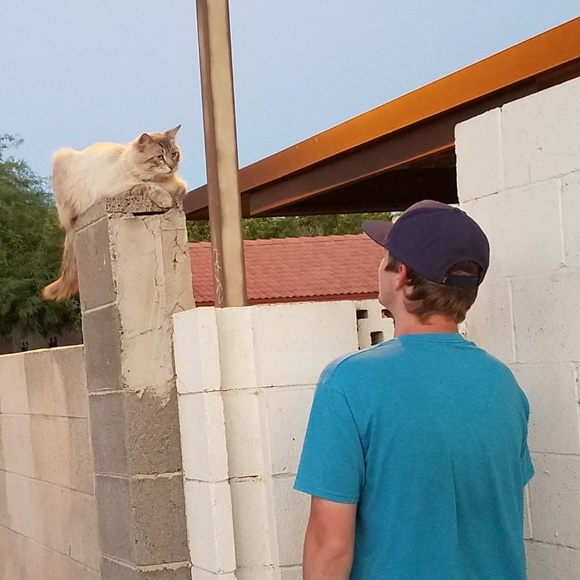 Meet your Posher, David - Picture 1 of 1